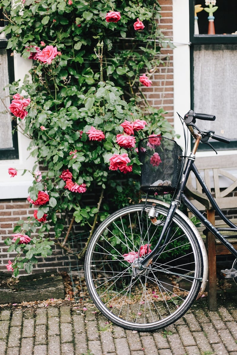 Vintage Vibe
